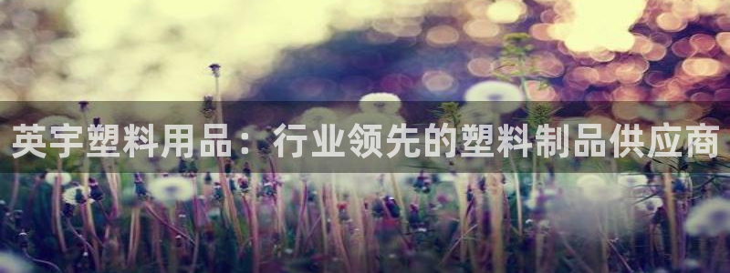太阳集团城网站：英宇塑料用品：行业领先的塑料制品供应商
