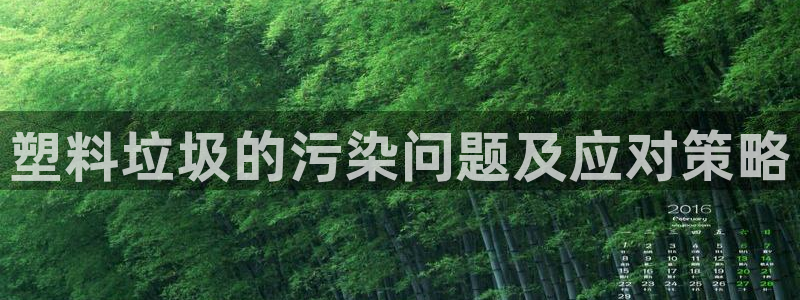 太阳集团8027：塑料垃圾的污染问题及应对策略