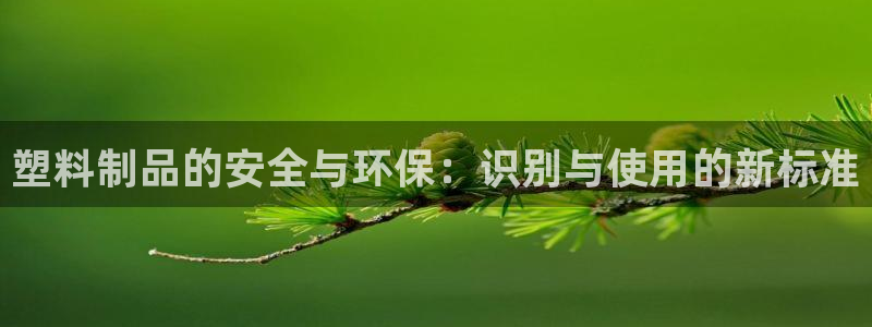 太阳成集团tyc122cc：塑料制品的安全与环保：识别与使用