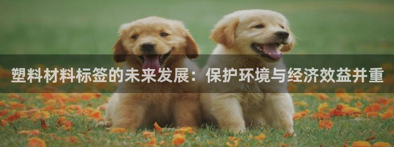 太阳集团网站视频：塑料材料标签的未来发展：保护环境与经济效益