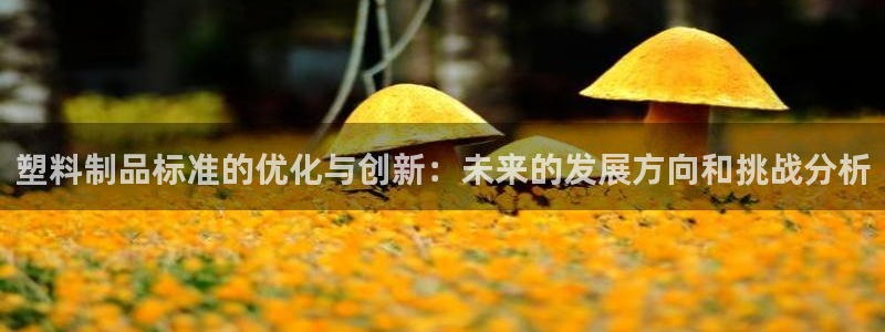 太阳成集团tyc234cc[主页]网址振兴：塑料制品标准的优