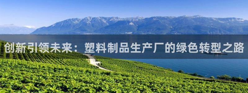 太阳集团电子游戏官网小额充值：创新引领未来：塑料制品生产厂的