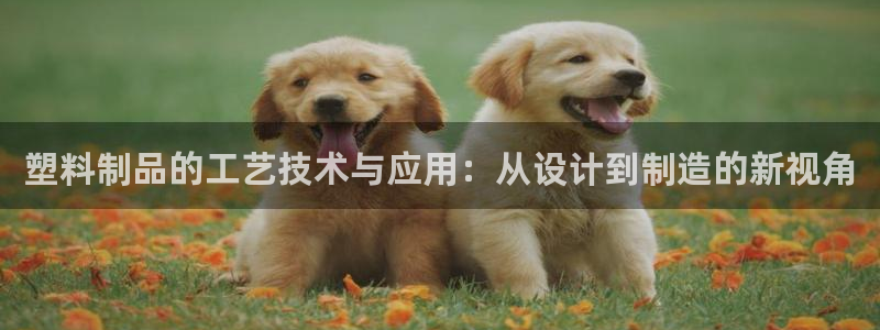 太阳集团城网站2017：塑料制品的工艺技术与应用：从设计到制