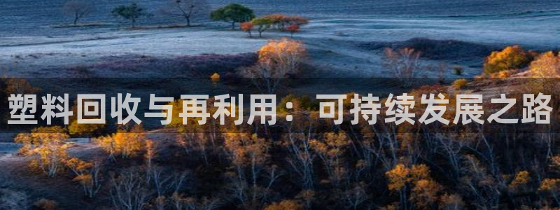 太阳集团是什么公司：塑料回收与再利用：可持续发展之路