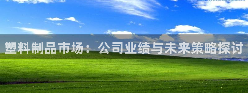 太阳集团城官方app下载苹果：塑料制品市场：公司业绩与未来策