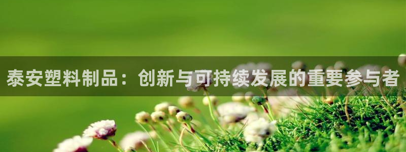 太阳集团城网官方入口：泰安塑料制品：创新与可持续发展的重要参