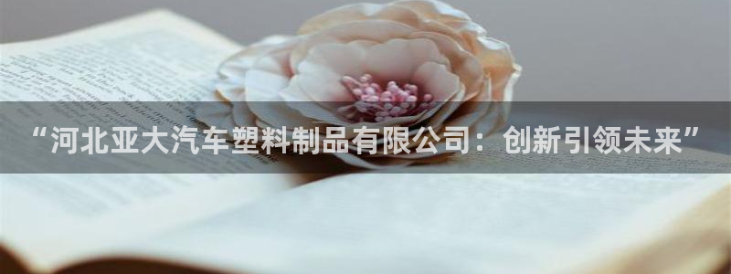 太阳集团8027：“河北亚大汽车塑料制品有限公司：创新引领未