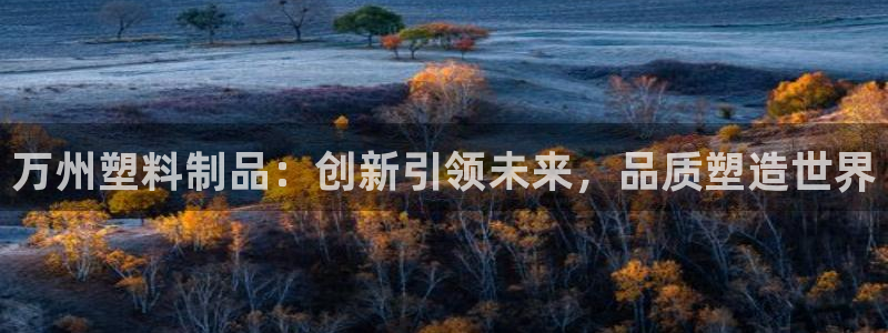 太阳集团城2017网站：万州塑料制品：创新引领未来，品质塑造