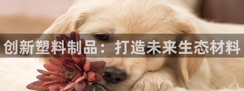 太阳成娱乐集团：创新塑料制品：打造未来生态材料