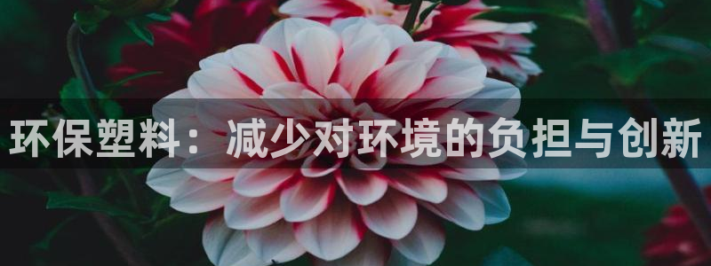 太阳控股集团：环保塑料：减少对环境的负担与创新