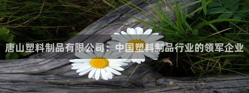 太阳集团城官网1407：唐山塑料制品有限公司：中国塑料制品行