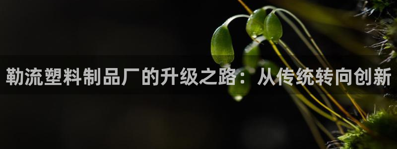 太阳集团网站古天乐代言：勒流塑料制品厂的升级之路：从传统转向