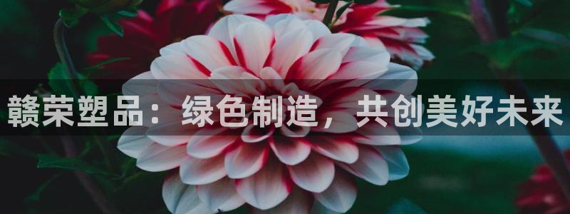 063801太阳集团备用网址：赣荣塑品：绿色制造，共创美好未