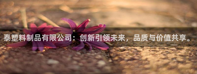 太阳集团游戏官方网址：泰塑料制品有限公司：创新引领未来，品质