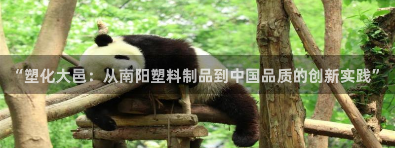 太阳成集团网站6888：“塑化大邑：从南阳塑料制品到中国品质