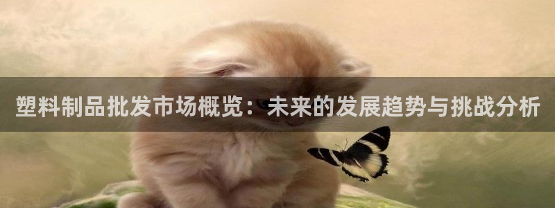 太阳诚集团有限公司是国企吗：塑料制品批发市场概览：未来的发展