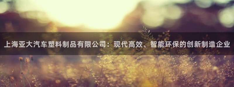 太阳集团股份有限公司是国企吗：上海亚大汽车塑料制品有限公司：