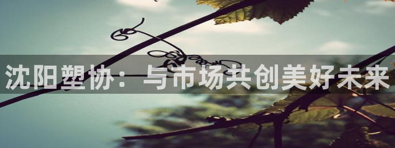 太阳成集团tyc234cc古天乐下载：沈阳塑协：与市场共创美
