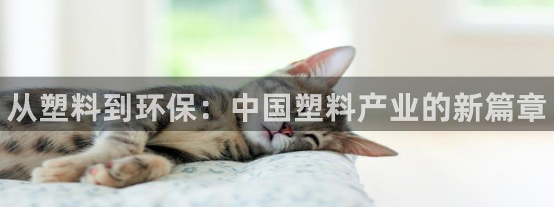 2138cn太阳集团古天乐·首页(欢迎您)：从塑料到环保：中