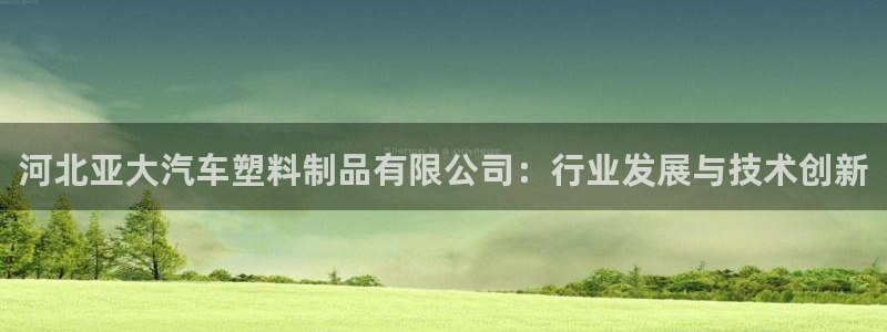 太阳集团董事长：河北亚大汽车塑料制品有限公司：行业发展与技术