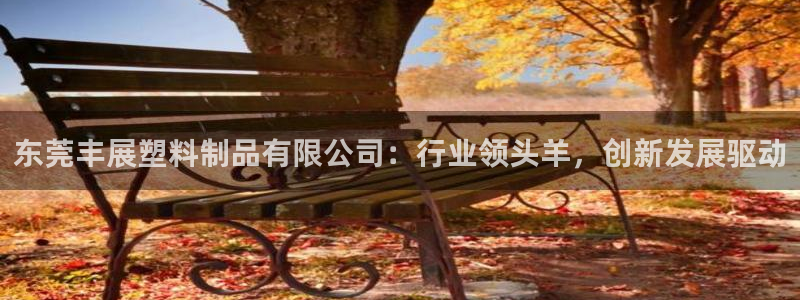 太阳集团娱乐场：东莞丰展塑料制品有限公司：行业领头羊，创新发